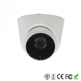 Камера видеонаблюдения (3.6мм) купольная Full HD IP 1920x1080 (2.0MP, 1080p)OC-IPCD307B2